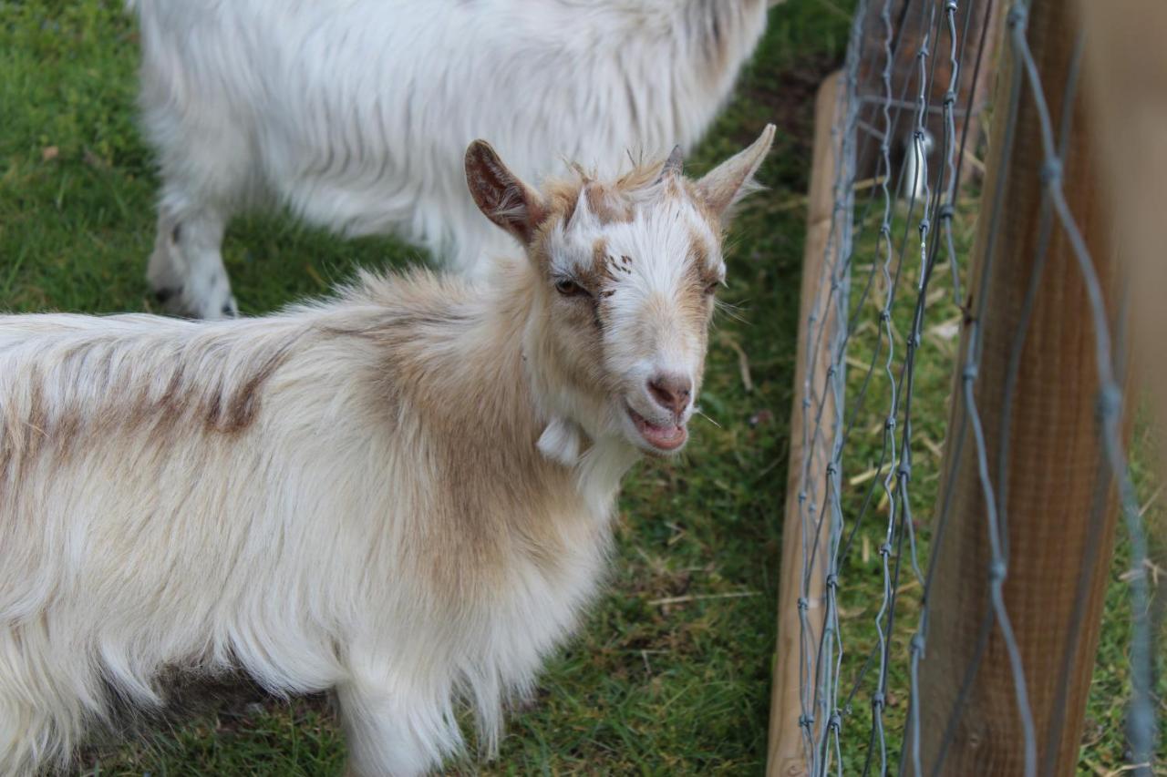 Ferme Des Poulardieres Crouy-sur-Cosson Exterior foto