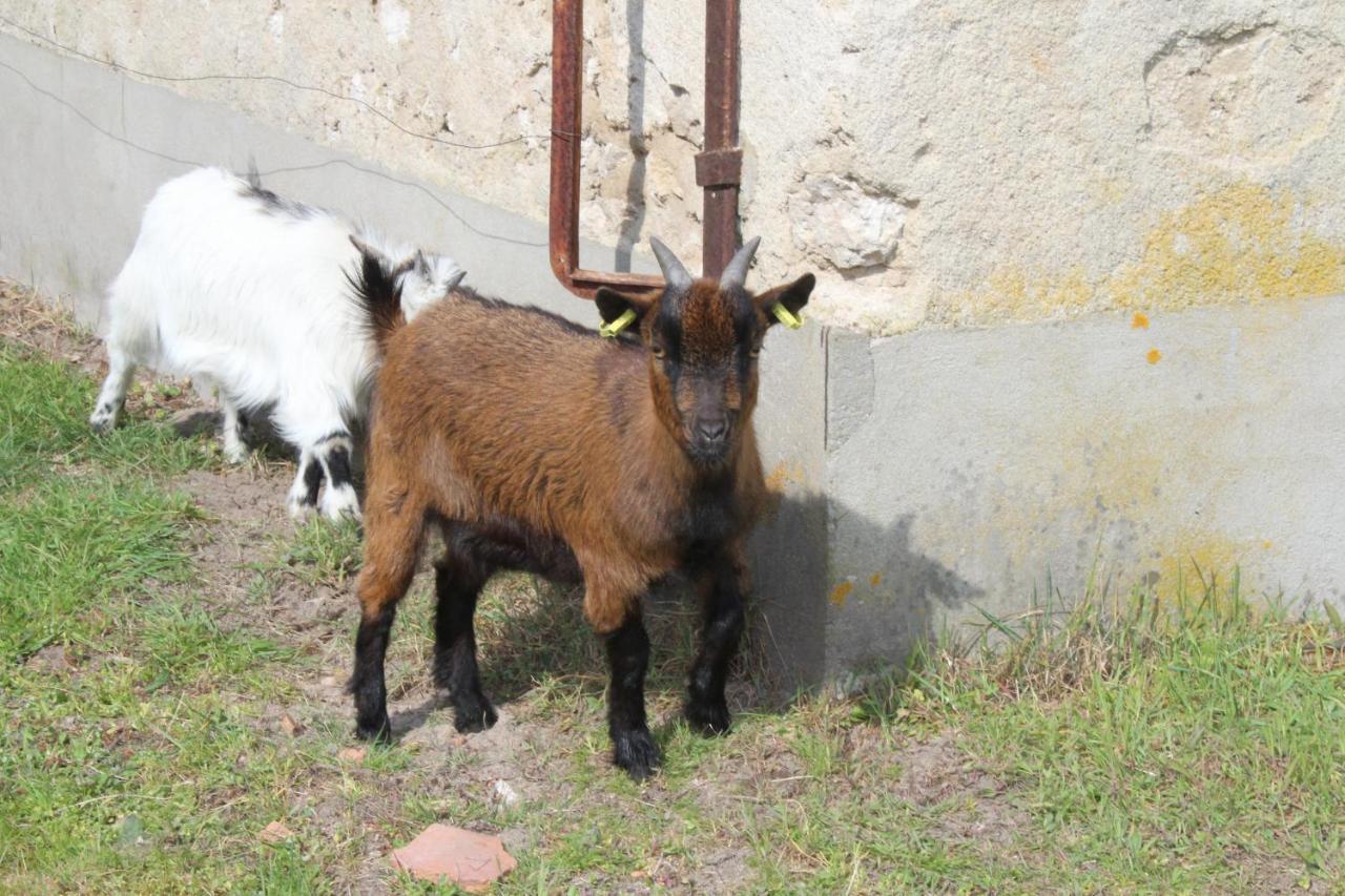 Ferme Des Poulardieres Crouy-sur-Cosson Exterior foto
