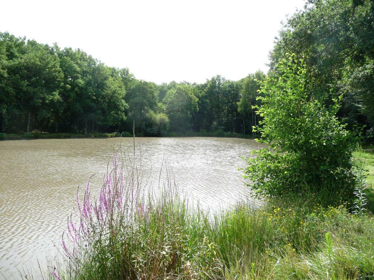Ferme Des Poulardieres Crouy-sur-Cosson Exterior foto